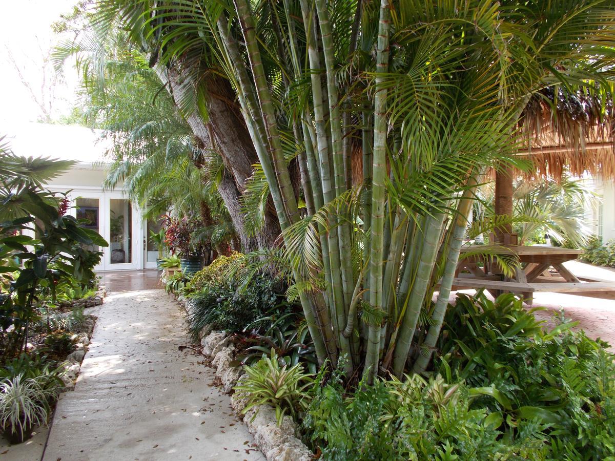 Kona Kai Resort And Gallery (Adults Only) Key Largo Exterior foto